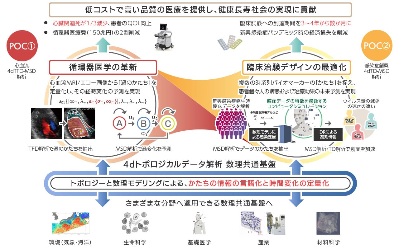 【4dトポロジカルデータ解析 数理共通基盤】トポロジーと数理モデリングによる、かたちの情報の言語化と時間変化の定量化→循環器医学の革新・臨床治験デザインの最適化→低コストで高い品質の医療を提供し、健康長寿社会の実現に貢献（さまざまな分野へ適用できる数理共通基盤へ）